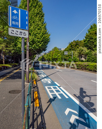 Regulatory sign 327-4-2 “Normal bicycle lane” / Auxiliary sign 505-B “Beginning” Regulatory sign 327-4-2 “Normal bicycle lane” / Auxiliary sign 505-B “Beginning” 106970558