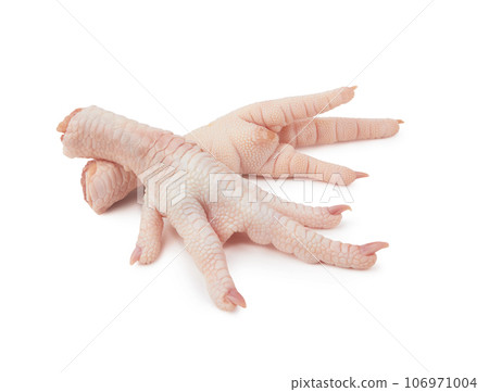 Raw chicken feet 106971004