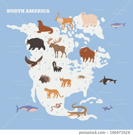 North America animals and fauna at map background, flat vector illustration. 106971029