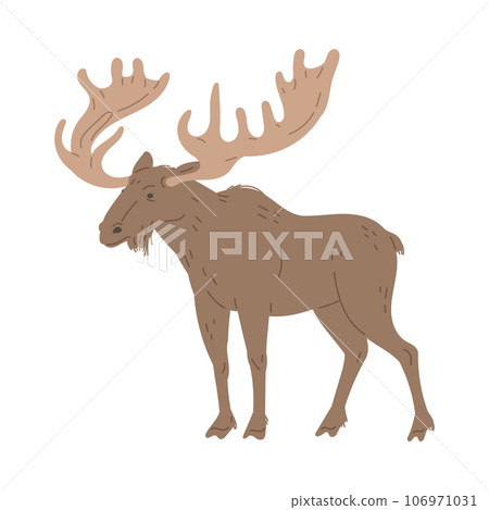Moose wild forest animal, bull elk with horns, antlers, North America animals big woods stag mammal vector illustration Moose wild forest animal, bull elk with horns, antlers, North America animals big woods stag mammal vector illustration 106971031