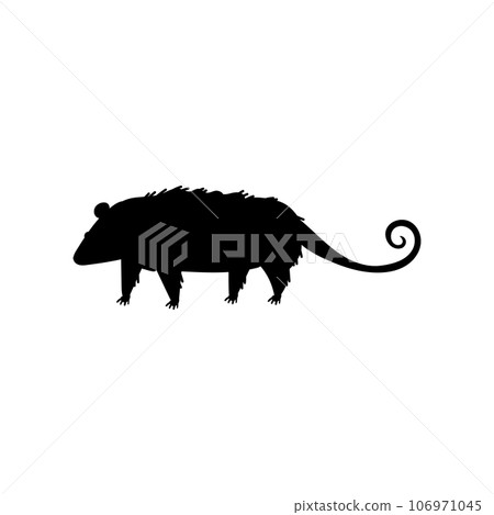 Black silhouette of North American opossum animal, vector illustration isolated. 106971045