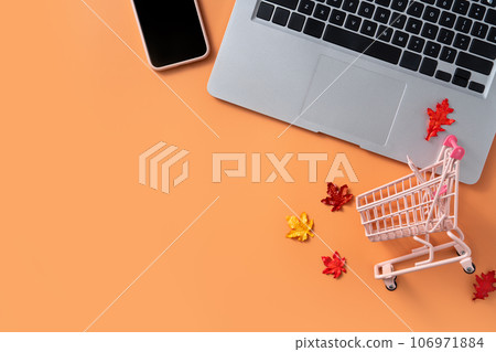 autumn shopping cart sale background computer internet Autumn shopping ショッピング 106971884