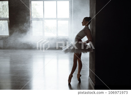 Sensual ballet dancer posing in studio over smoke haze special effect 106971973