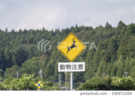 Animal caution sign deer 106972269
