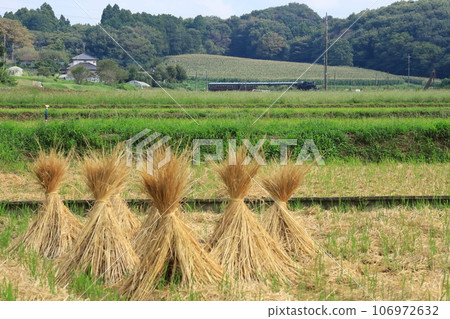 SL Moka running with a tricorn hat made of rice straw and grassy hills in the background 106972632