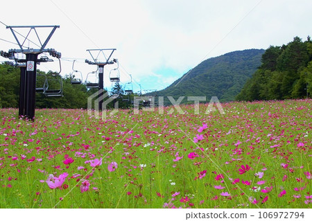 治部坂高原宇宙祭 106972794