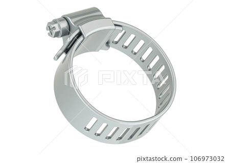 Adjustable Stainless Steel Worm Gear Hose Clamp, 3D rendering 106973032