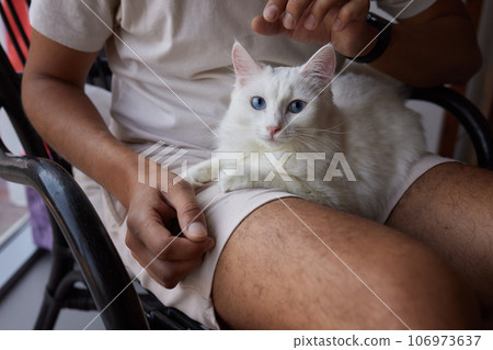 Man sitting in an armchair, holding his gorgeous pet cat. Man sitting in an armchair, holding his gorgeous pet cat. 106973637