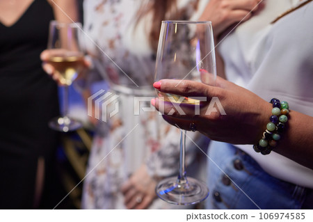 Clinking glasses with alcohol and toasting, party. 106974585