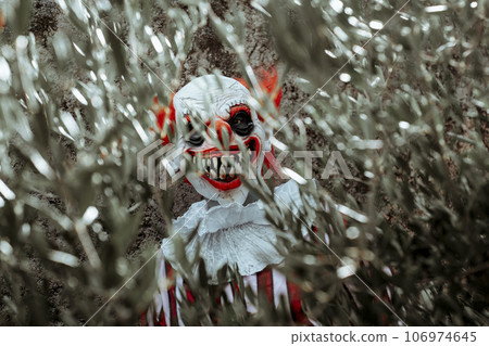 mad evil clown hiding behind the branches of a tree 106974645