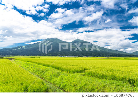 [福島縣] 田園風光/夏天的豬苗代 106974763