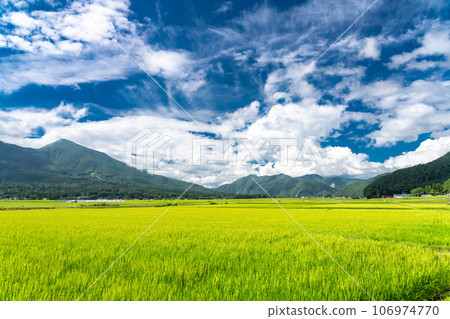 [福島縣] 田園風光/夏天的豬苗代 106974770