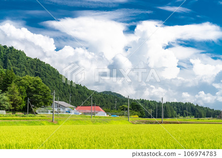[Fukushima Prefecture] Countryside scenery/Summer Inawashiro 106974783