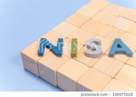 NISA文本 NISA文本 106975028