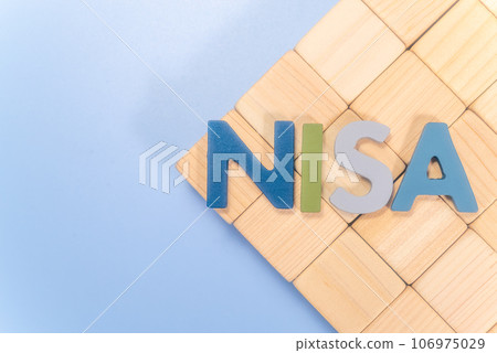 NISA文本 106975029