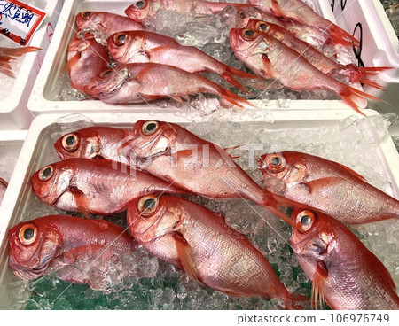 魚店的冰上排列著新鮮的金色鯛魚 魚店的冰上排列著新鮮的金色鯛魚 106976749