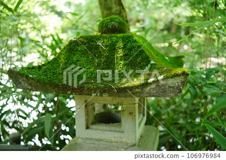 諏訪大社春天神社長滿青苔的石燈籠 諏訪大社春天神社長滿青苔的石燈籠 106976984