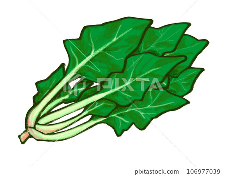 菠菜插圖 菠菜插圖 106977039