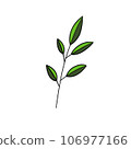 Plants and leaf. 106977166