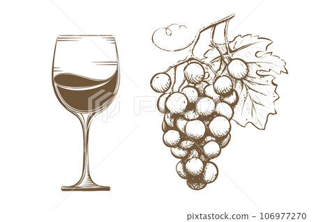 Glass with wine and grapevine in sketch style 106977270