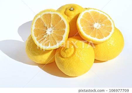 柑橘類水果（Haruka） 106977709