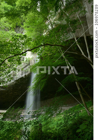 Fresh green Tanashitafudo Falls Fresh green Tanashitafudo Falls 106978289