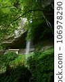 Fresh green Tanashitafudo Falls 106978290
