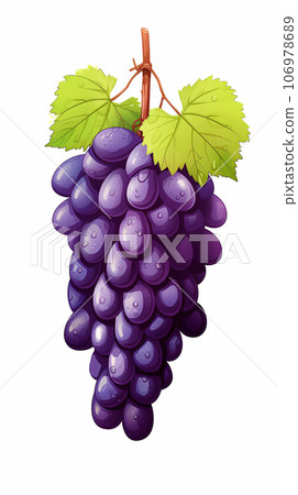 手绘卡通新鲜的紫葡萄水果插画 106978689