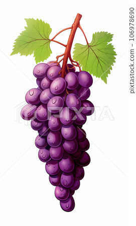 Hand drawn cartoon fresh purple grape fruit illustration 106978690
