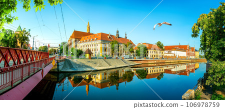 Sand Bridge in Poland 106978759