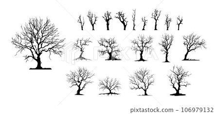 Dead Trees, Naked trees silhouettes. Winter trees isolated on white background Dead Trees, Naked trees silhouettes. Winter trees isolated on white background 106979132