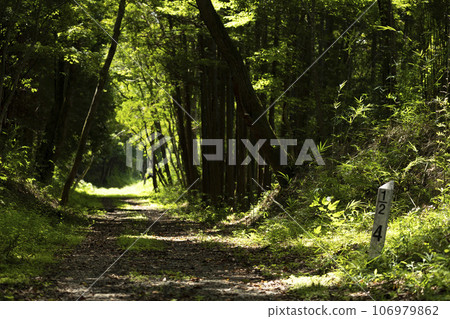 Nagakura Line 4.5 km post 106979862