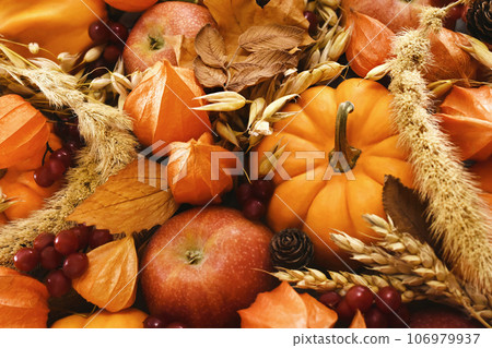 Autumn pumkins, harvested apples and colorful leaves composition, fall Thanksgiving festive background Autumn pumkins, harvested apples and colorful leaves composition, fall Thanksgiving festive background 106979937