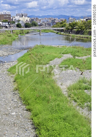夏季鴨川/京都 夏季鴨川/京都 106980186