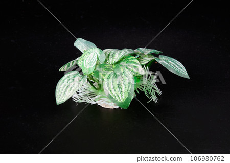 Artificial aquarium plant on a black background 106980762