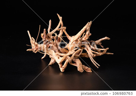 Natural Driftwood tree for aquarium. aged tree on a black background 106980763
