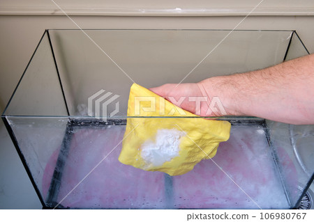 A man's hand holds a rag with soda powder for washing the aquarium A man's hand holds a rag with soda powder for washing the aquarium 106980767