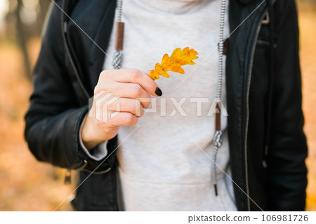 Woman holds yellow oak leaf close-up in hand in fall season copy space - autumn and nature concept 106981726