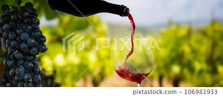 Wine glass with pouring red wine Wine glass with pouring red wine 106981933