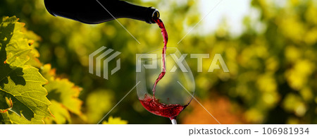 Wine glass with pouring red wine 106981934