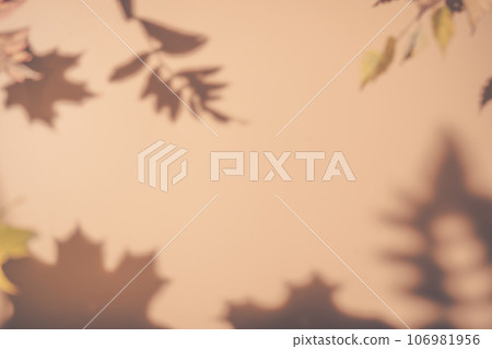 shadows of the maple tree leaves shadows of the maple tree leaves 106981956