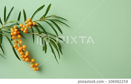 Fresh sea buckthorn berries on a sprig. Created by AI Fresh sea buckthorn berries on a sprig. Created by AI 106982259