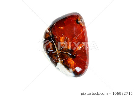 Macro mineral stone Cornelian on a white background Macro mineral stone Cornelian on a white background 106982715