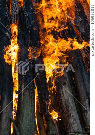 Beautiful fire flames on a campfire Beautiful fire flames on a campfire 106982812