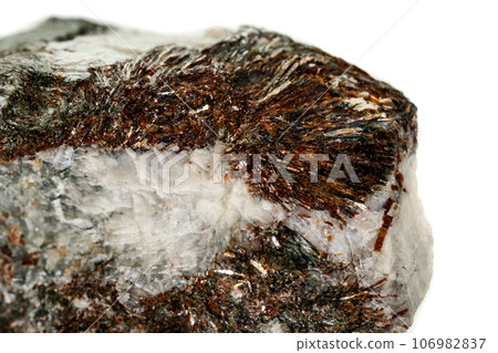Macro mineral stone astrophyllite white background Macro mineral stone astrophyllite white background 106982837