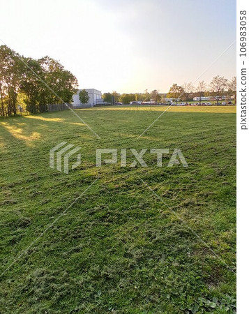 Open space in the city. Well-groomed fields with power lines. 106983058