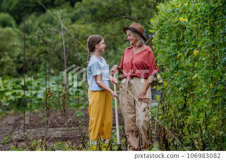 Portrait of grandmother with granddaughter hand hoeing soil with hoe. 106983082