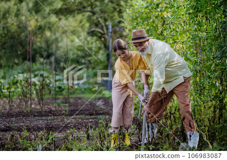 Portrait of grandfather with granddaughter hand hoeing soil with hoe. 106983087