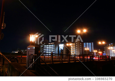 廣瀨大橋夜景（宮城縣仙台市） 106983270