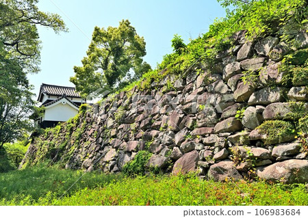 藍天和福岡城、石牆和砲塔的風景 106983684